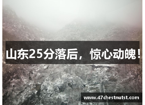 山东25分落后，惊心动魄！